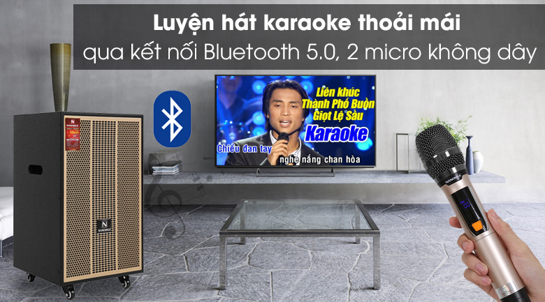 loa karaoke nanomax s-900 11